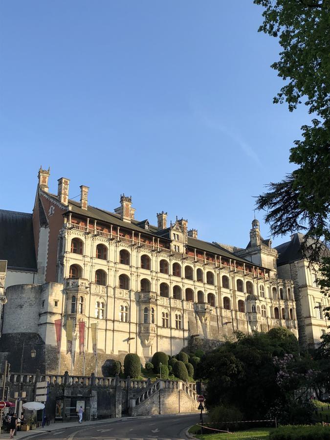 Logis Hotel Louise De Savoie Blois Exterior photo